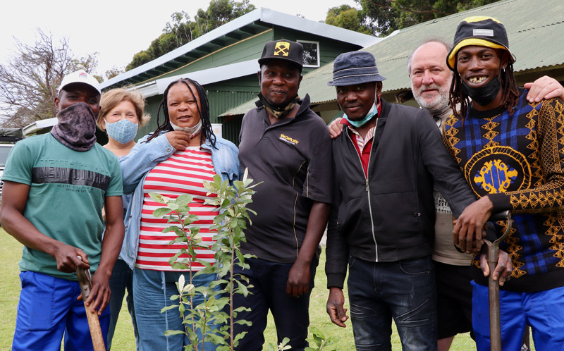 Rotary Club Cape Town Planting Trees