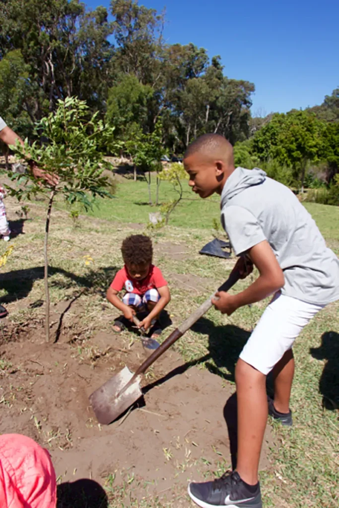 Rotary Club Cape Town Planting Trees